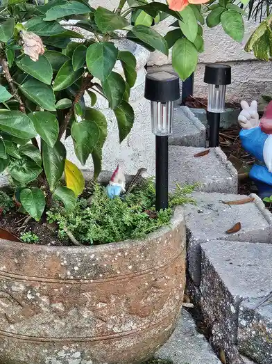 A small garden gnome figurine is partially obscured by green foliage and a lizard in a planter, while another larger gnome…