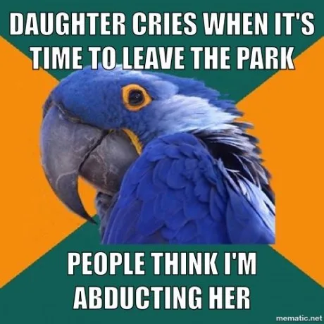 A close-up image of a blue parrot with a serious, slightly annoyed expression, set against a background of orange and green…