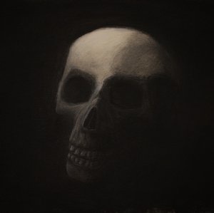 The Mysterious Skull: Unveiling Secrets