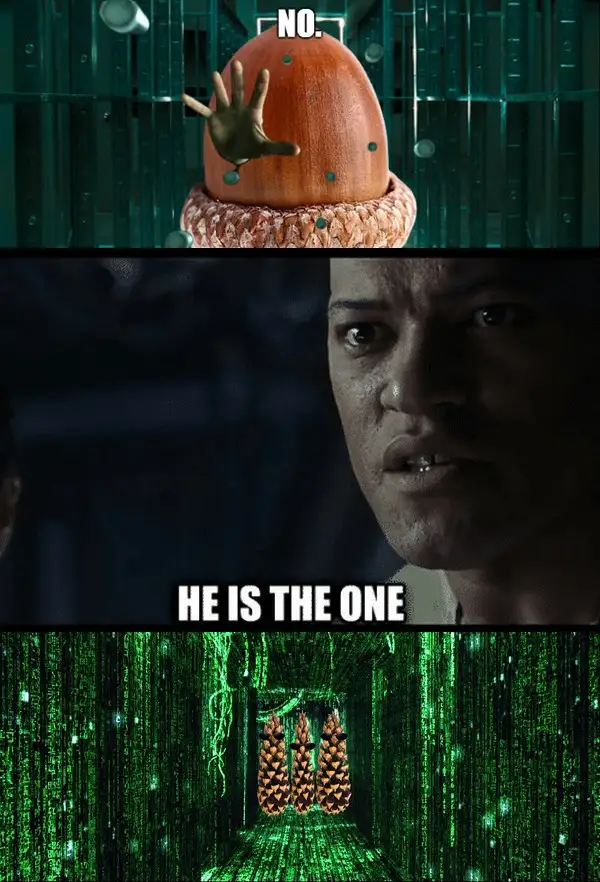 The meme is a three-panel image from 'The Matrix' movie. The top panel shows a hand emerging from an acorn with the word…