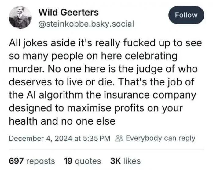 A screenshot of a social media post by 'Wild Geerters' (@steinkobbe.bsky.social) dated December 4, 2024, which reads: 'All…