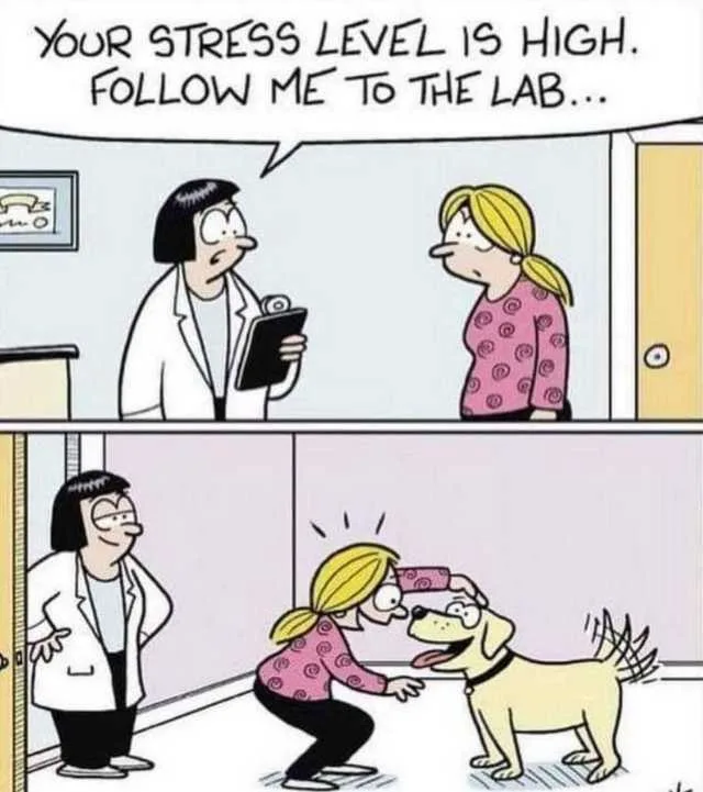 A two-panel comic shows a doctor telling a stressed woman to follow her to the lab. In the second panel, the woman kneels to…