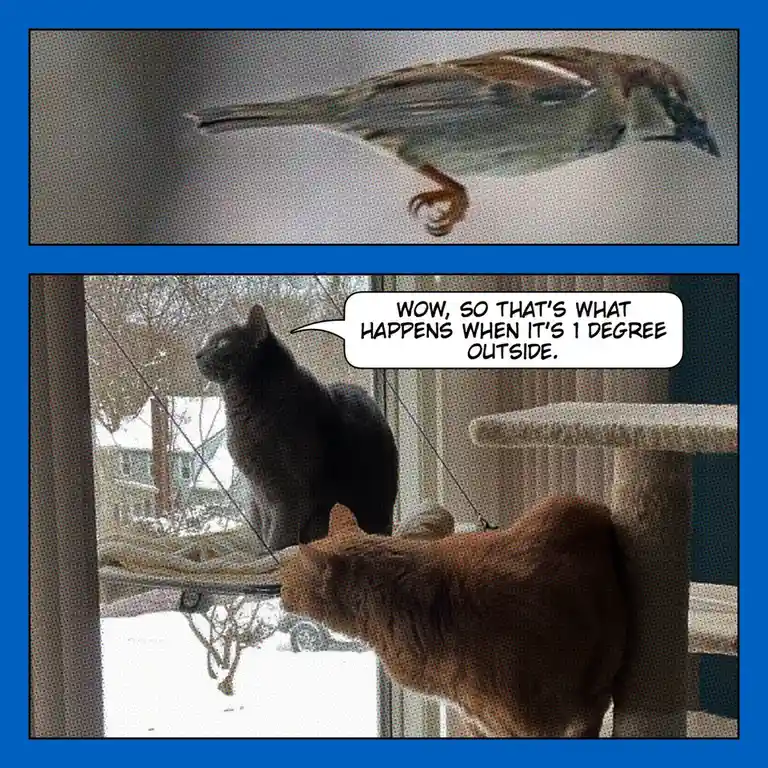 The image is a two-panel meme. The top panel shows a small bird frozen mid-air, appearing stiff and lifeless. The bottom…