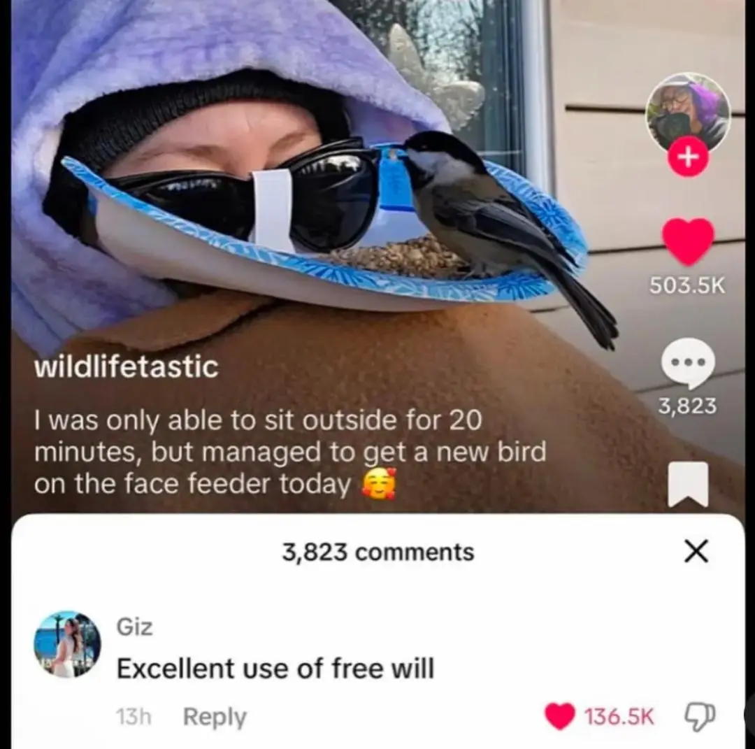 A person wearing a purple hood, black beanie, and sunglasses has a small bird perched on a blue paper plate feeder resting…