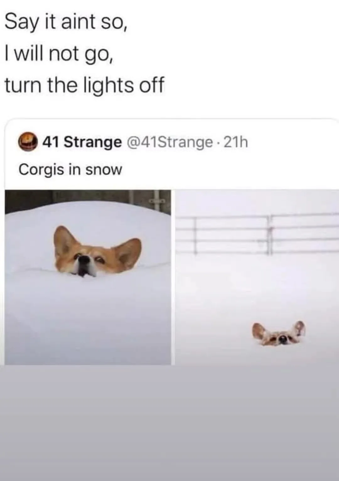 A split-screen image shows a corgi peeking out from a snowy pile on the left and almost completely buried in snow on the…