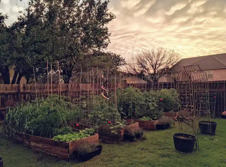 Gardening: My Secret to Staying Sane