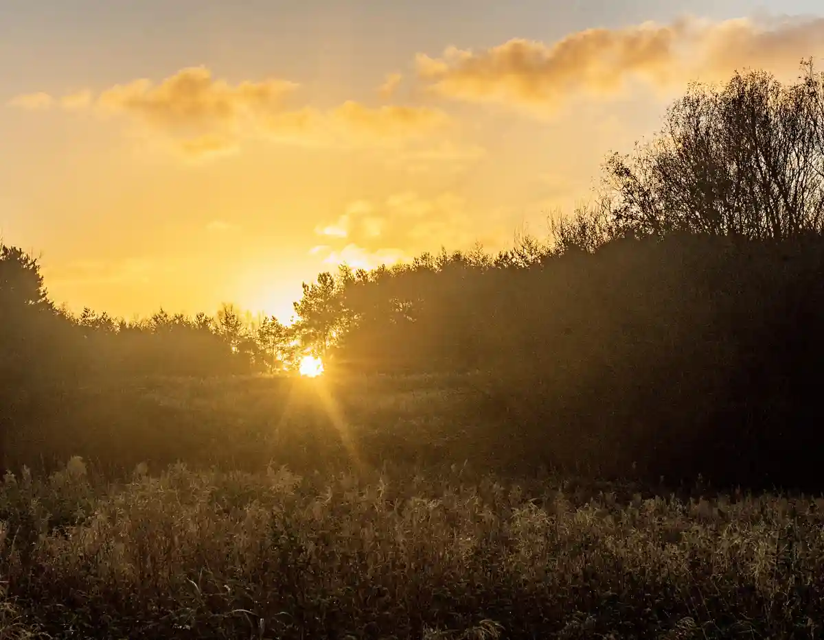 A serene landscape photo shows a golden sunset with sun rays bursting through trees, casting a warm glow over a field of…
