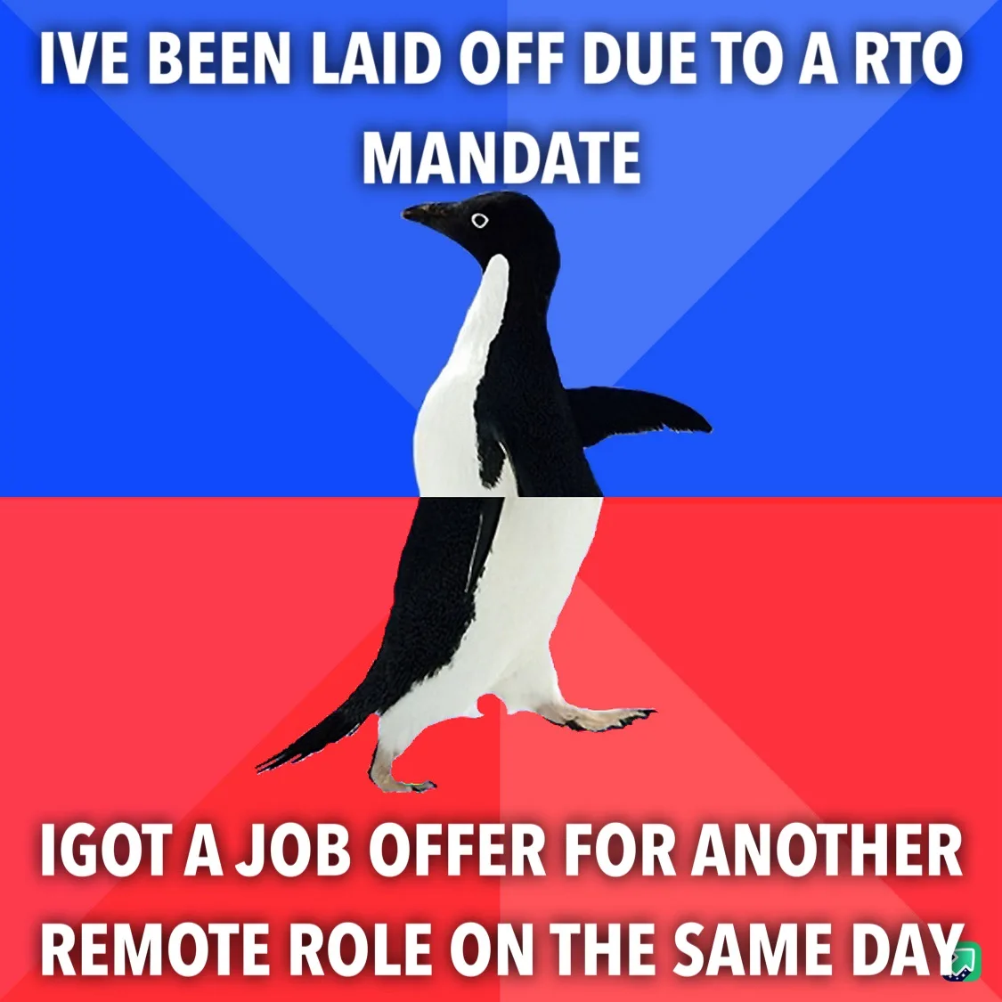 Life Under RTO Mandates: A Struggle