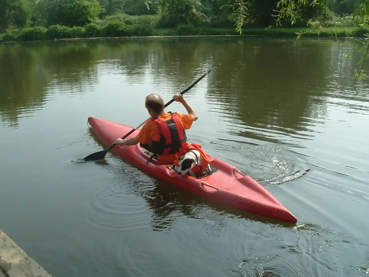 A man in an orange shirt and life vest paddles a red kayak on a calm river, with a small black-and-white dog also wearing a…