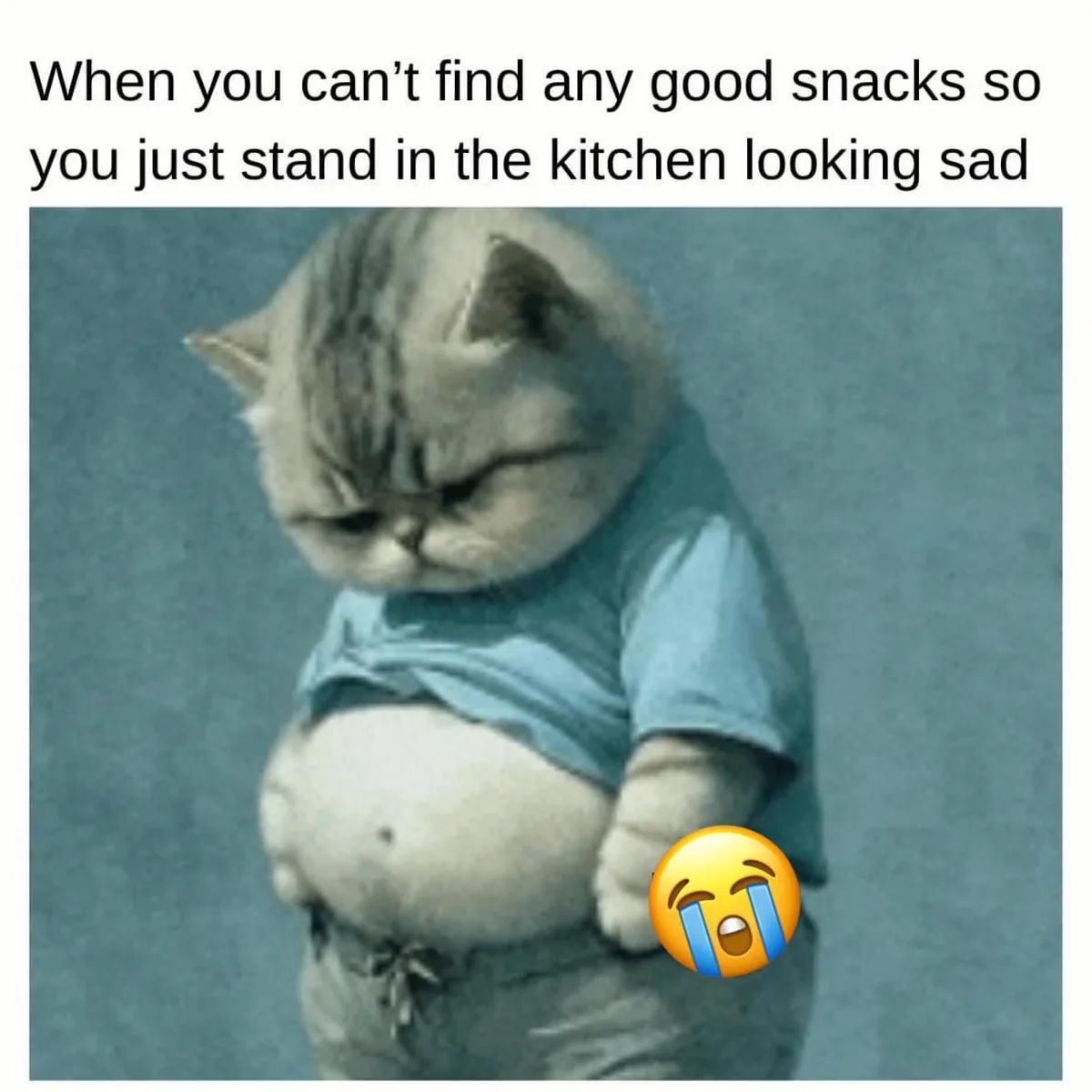 A plump, tabby cat wearing a blue t-shirt and grey pants stands with its head drooping and eyes half-closed, conveying a…