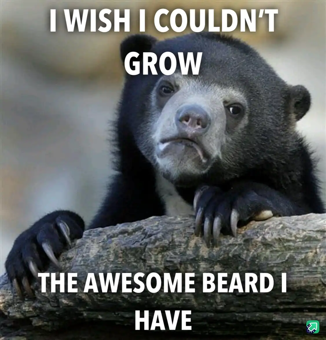 A close-up photo of a sad-looking sun bear with a downturned mouth, resting its paws on a log. White bold text overlaid on…