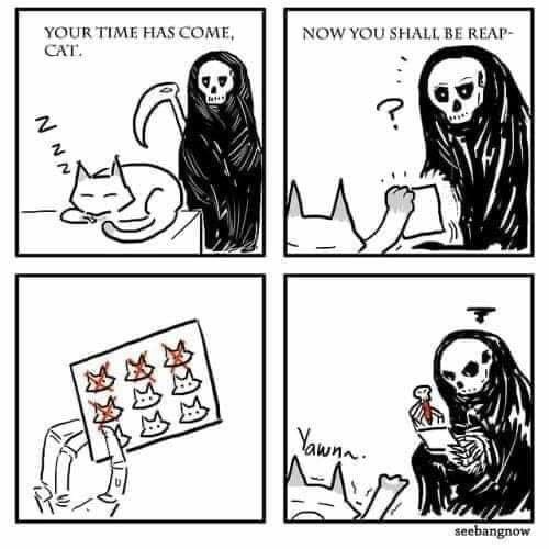 A four-panel comic shows Death approaching a sleeping cat. Death says 'YOUR TIME HAS COME, CAT.' The cat is asleep. In the…