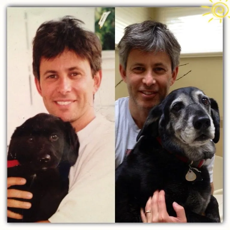 Embracing the Grey: 15 Years Together and Counting