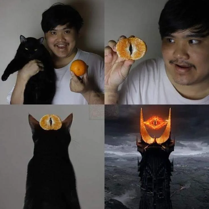 A four-panel image shows a man holding an orange, then holding a sliced orange, then placing the orange slice on a black…