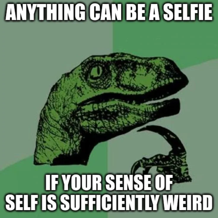 When You’re Totally Misusing Memes
