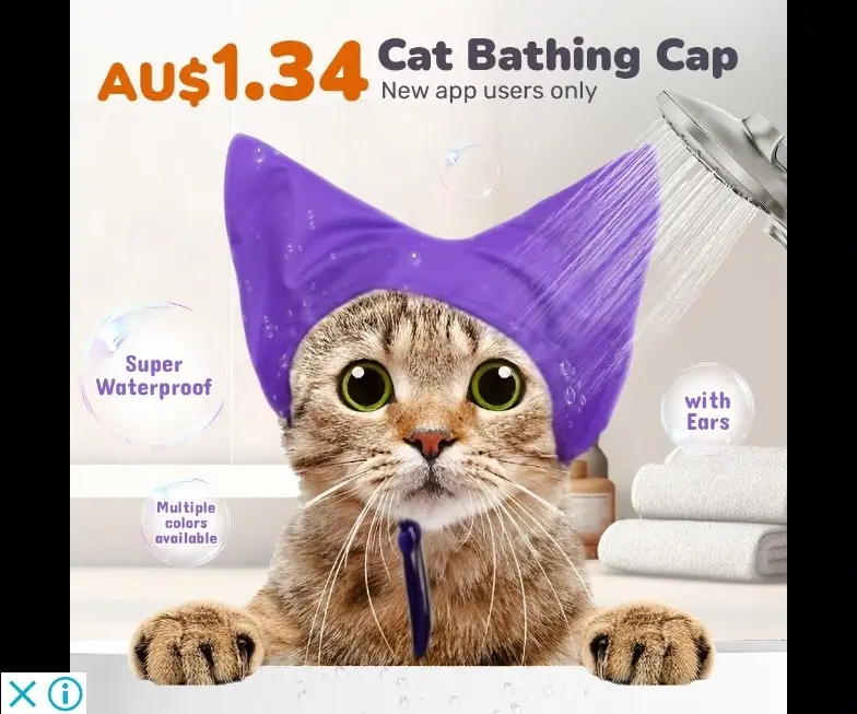 A tabby cat with wide green eyes sits in a shower, wearing a purple, cat-ear-shaped bathing cap while water streams from a…