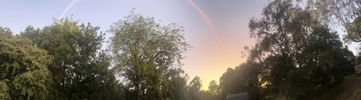 A wide-angle photo captures a sunset or sunrise over a treeline, with two faint, curved contrails visible in the sky. The…