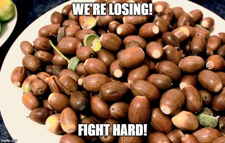 A white plate is piled high with acorns, many of which have been cracked open, revealing their inner nut. Bold white text…