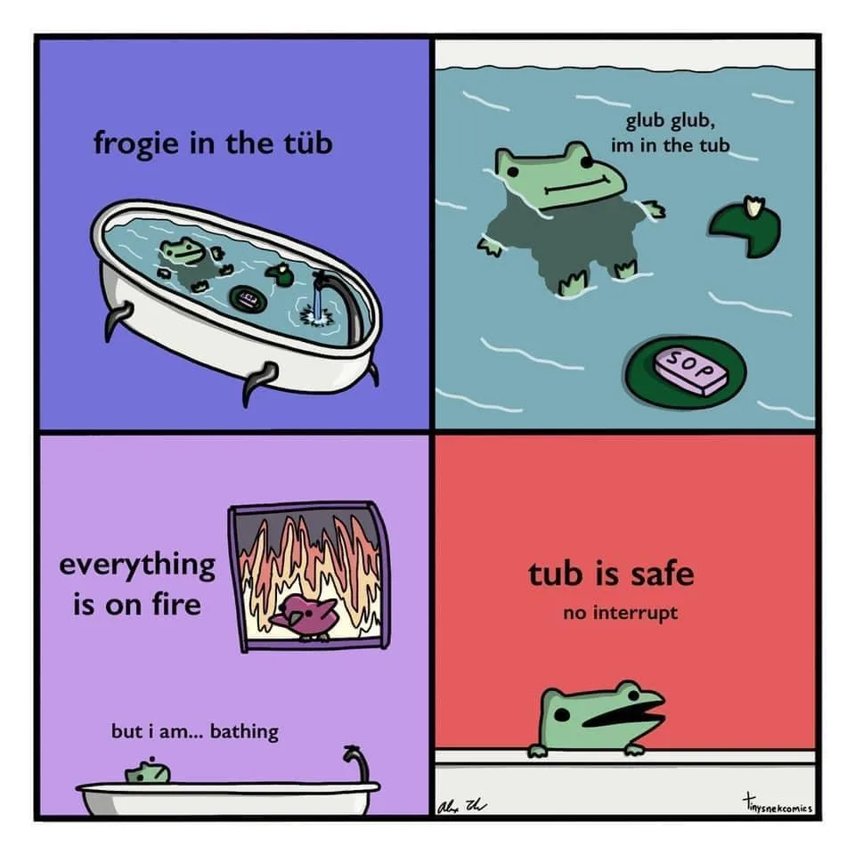 A four-panel comic shows a frog enjoying a bath, oblivious to a fire outside its window. The frog calmly declares the tub is…