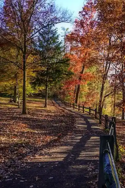A scenic autumn path lined with trees displaying vibrant red, orange, and yellow leaves under a clear blue sky. The ground…