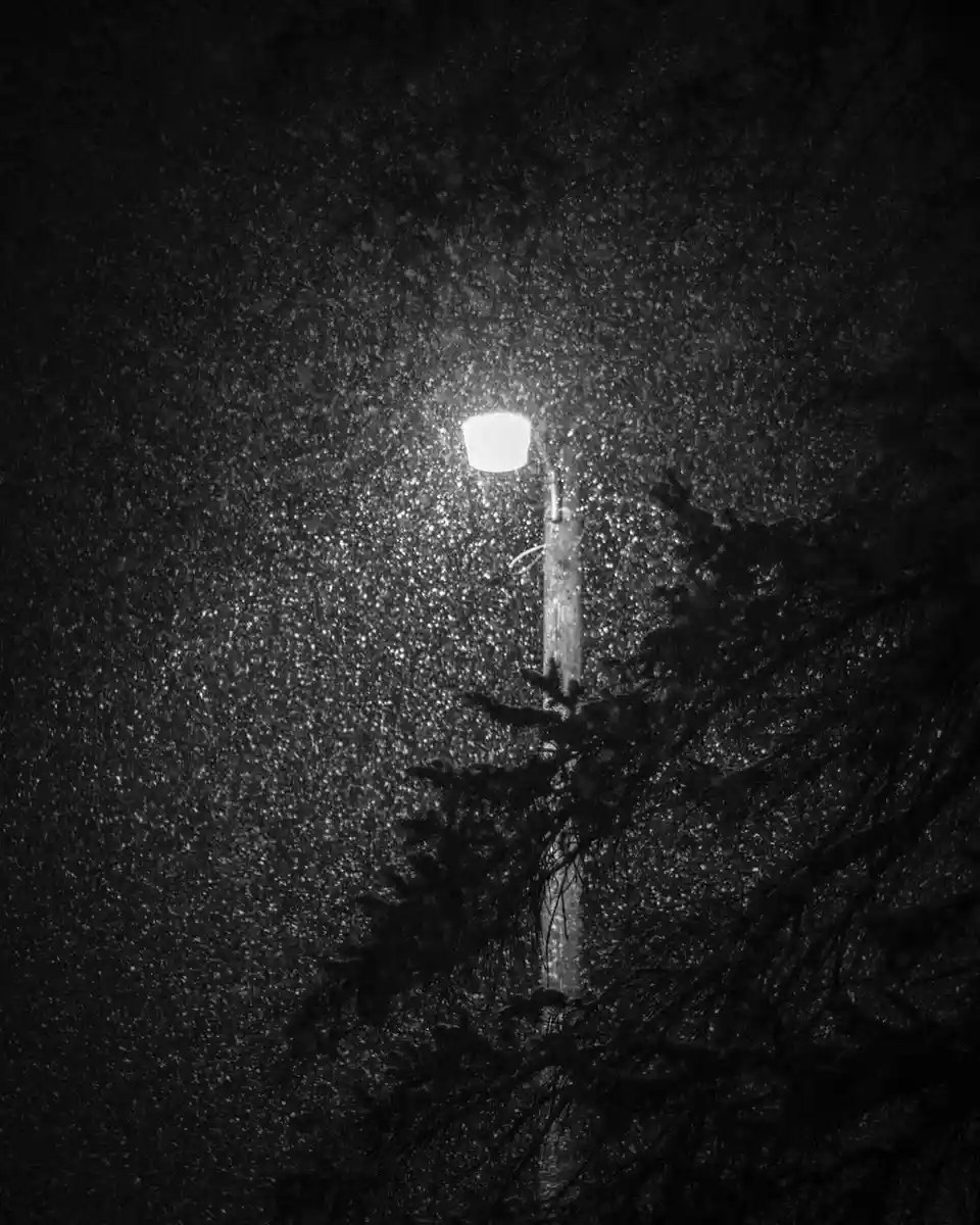 A Gentle Snowfall is Gracefully Descending