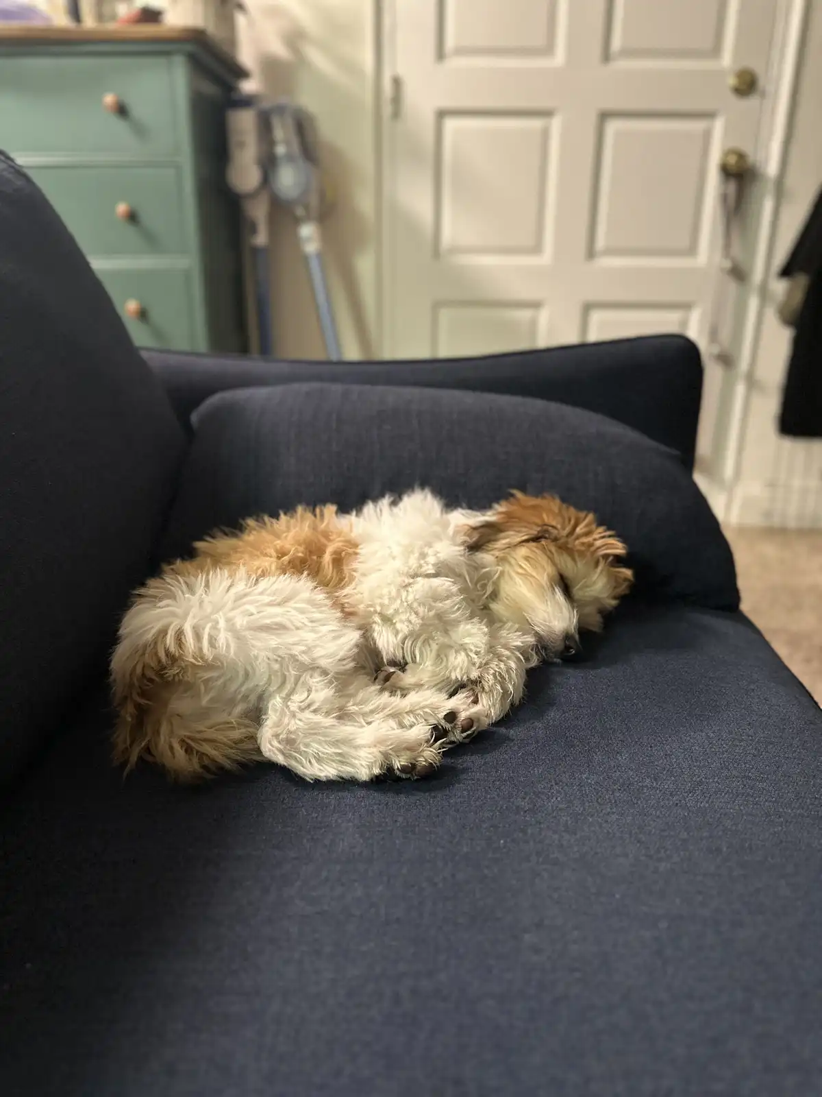Caught in a Sleepy Moment