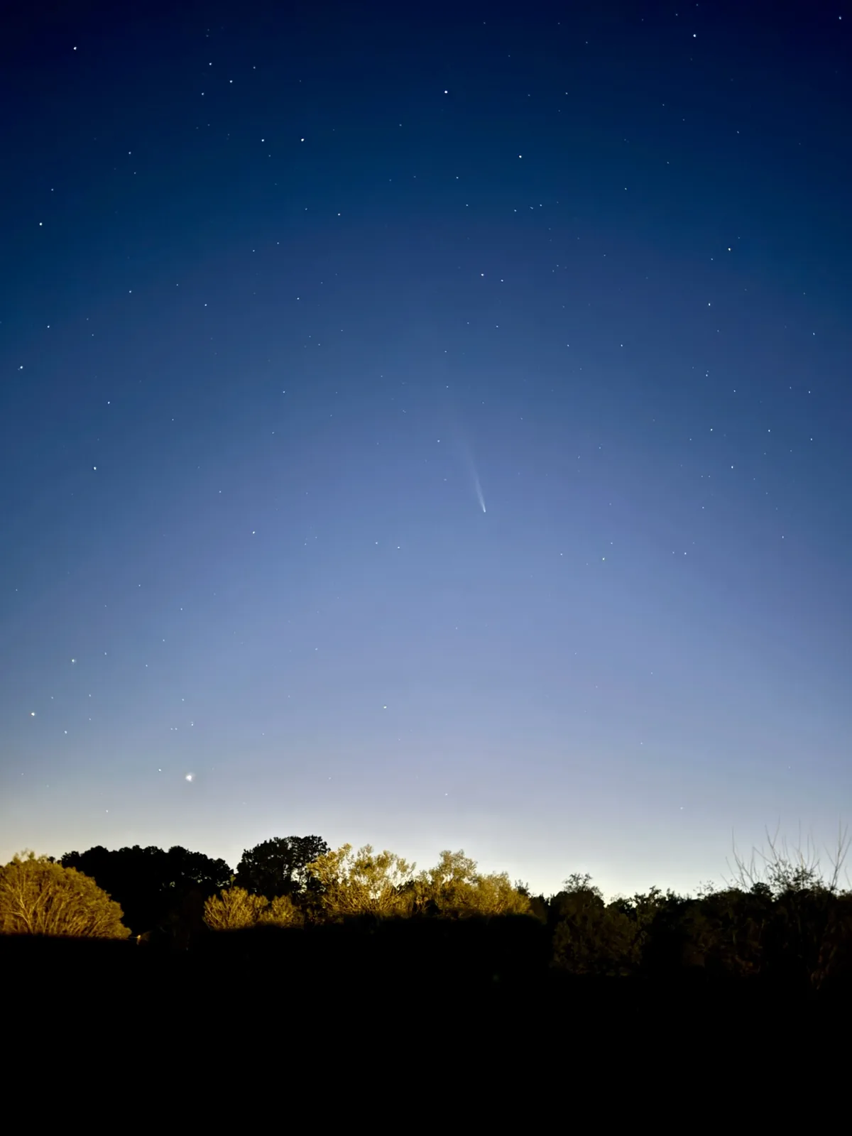 A night sky photo shows a faint comet with a tail against a starry blue gradient, above a dark treeline with some trees…