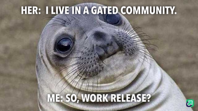 A close-up image of a baby seal with large, innocent eyes and a slightly smug or knowing expression. White text is overlaid…