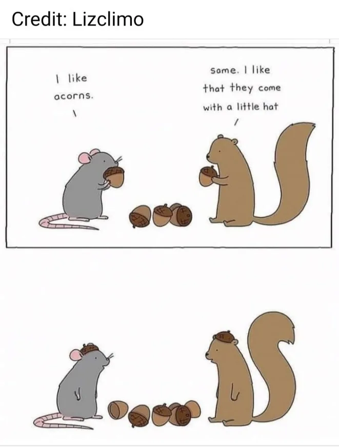 A cartoon mouse and a cartoon squirrel are sitting next to acorns. The mouse says 'I like acorns.' The squirrel replies…