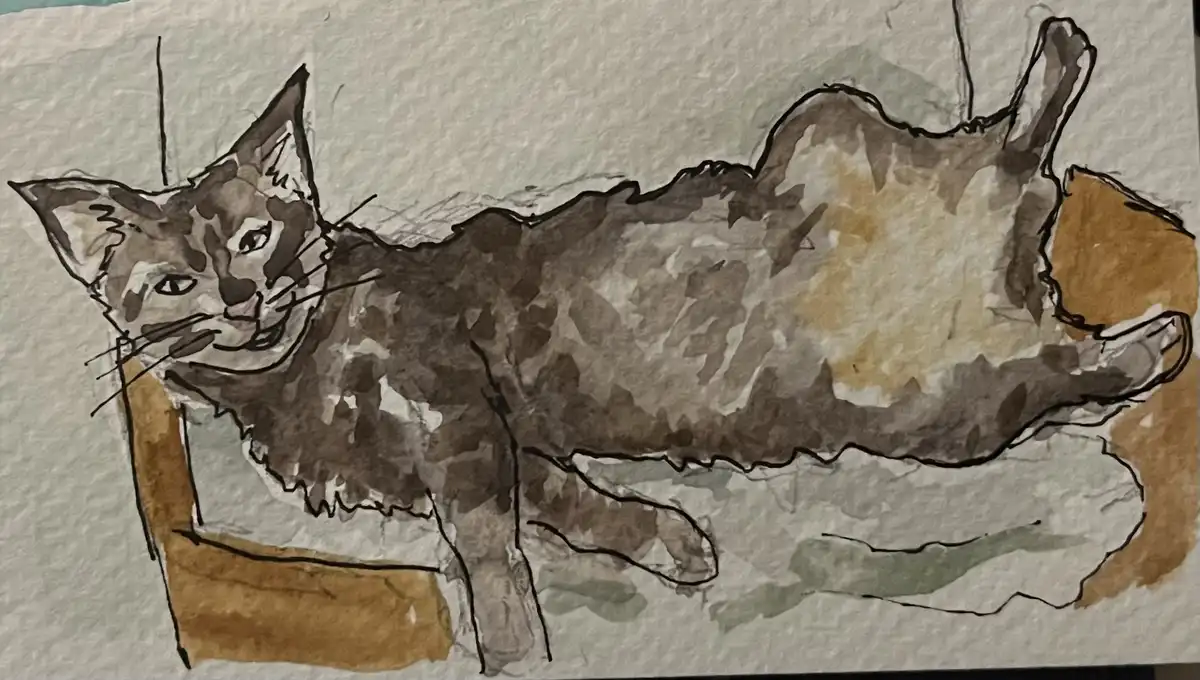 A watercolor sketch of a cat lying on its back on a chair, belly exposed, with a smug, contented expression. The cat's body…