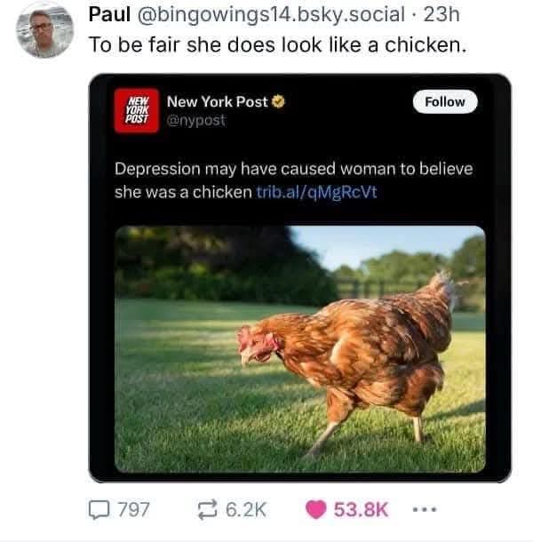 A screenshot of a tweet from the New York Post showing a photo of a brown chicken walking on grass. The tweet's headline…