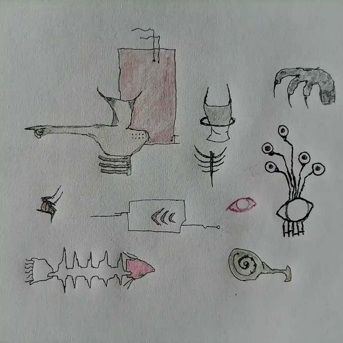 La Señal: The Signal