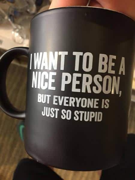 A close-up photo of a black matte mug being held by a person's hand, showing white text that reads 'I WANT TO BE A NICE…