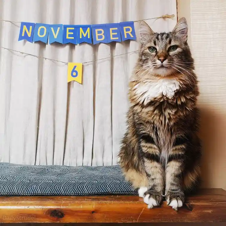 A fluffy tabby cat with green eyes sits upright on a wooden surface, looking directly at the camera with a serious…