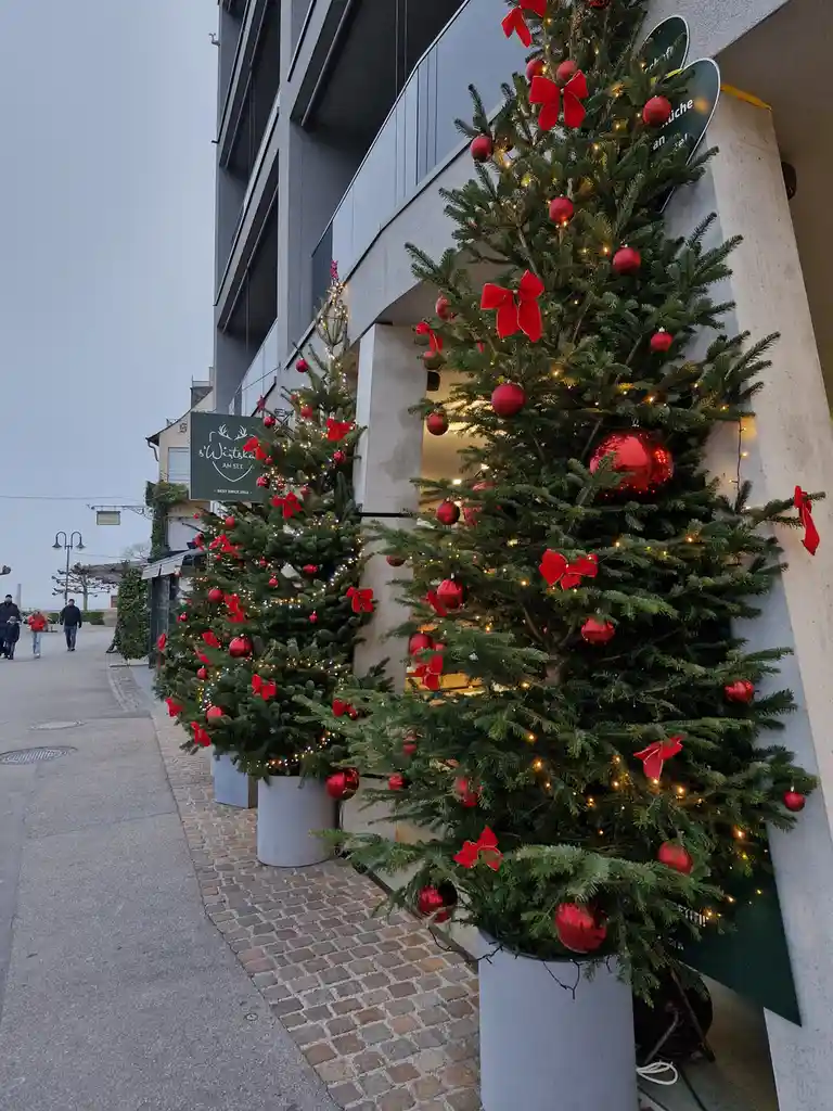 Two large, decorated Christmas trees with red ornaments and lights stand in grey planters along a cobblestone sidewalk…