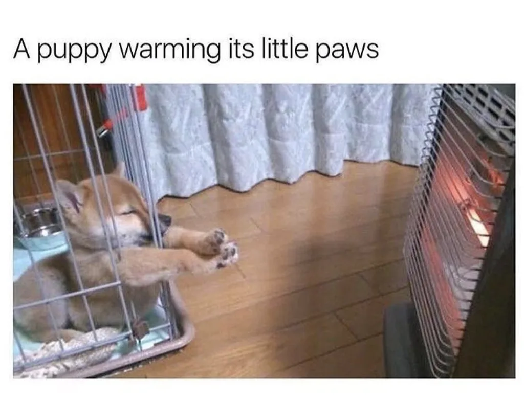 A small, light brown puppy with closed eyes is lying inside a metal wire crate, stretching its front paws toward the glowing…