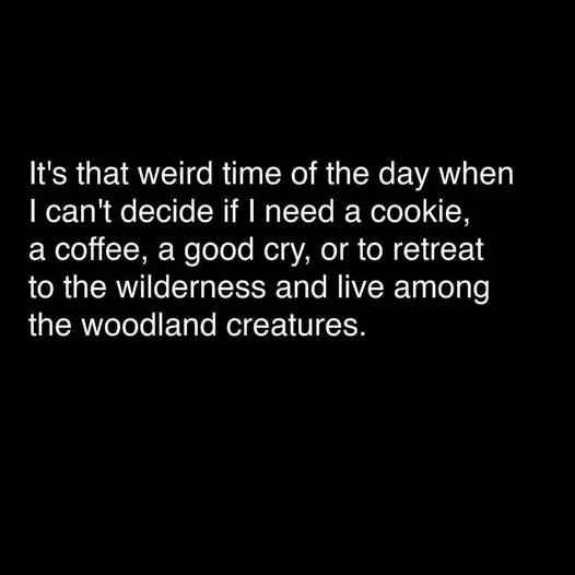 A black background with white text that reads: 'It's that weird time of the day when I can't decide if I need a cookie, a…