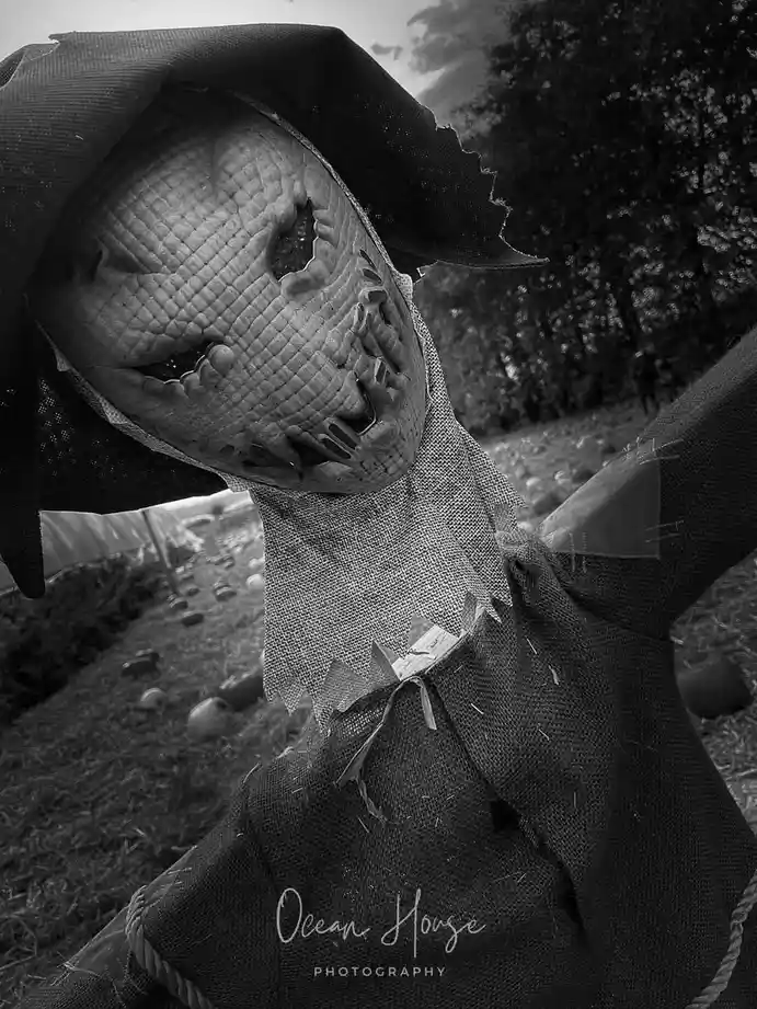 Fun with Scarecrows: A Whimsical Adventure
