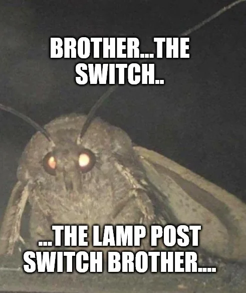 A close-up photo of a large, dark-colored moth with glowing orange eyes, set against a black background. The image has…
