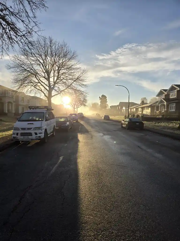 Mesmerizing views on a foggy morning
