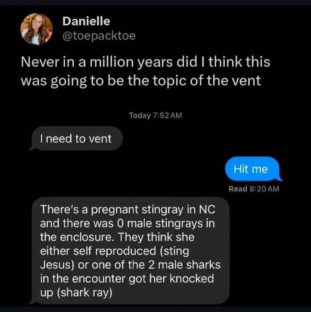 A screenshot of a text conversation shows Danielle (@toepacktoe) responding to a friend who says 'I need to vent' by…