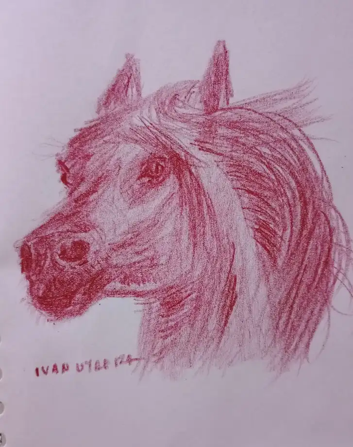 Majestic Horse Moments