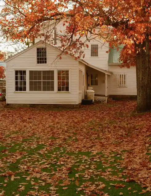 A white house with a porch is surrounded by a lawn covered in fallen orange and brown autumn leaves, with a large tree with…