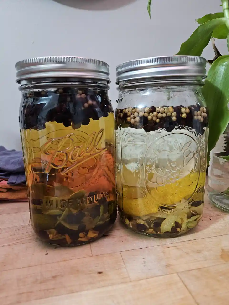 Two glass Ball wide-mouth mason jars sit side-by-side on a wooden surface, each filled with yellowish oil and various spices…