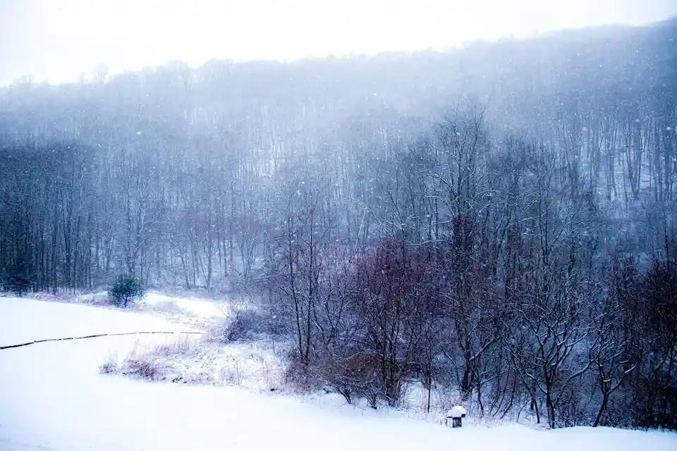 Embracing the Winter Wonderland
