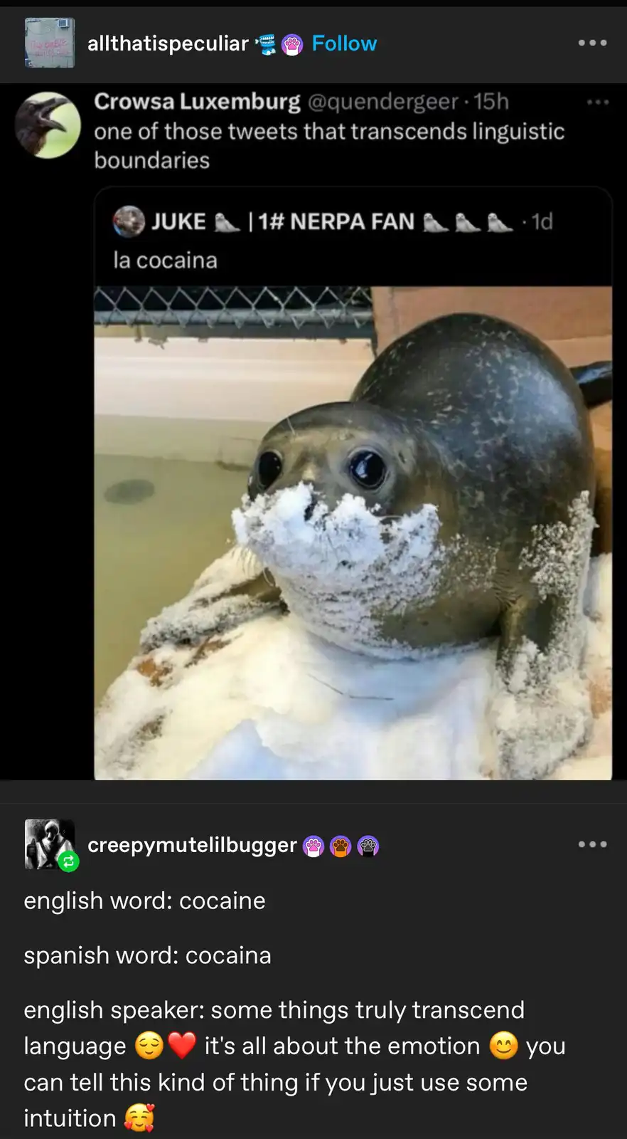 A close-up photo of a baby seal with white foam covering its face and chest, looking directly at the camera. The image is…