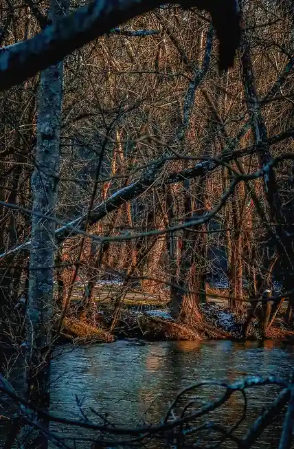 A moody, atmospheric photo of a winter forest with bare trees, snow patches, and a dark river in the foreground, framed by…