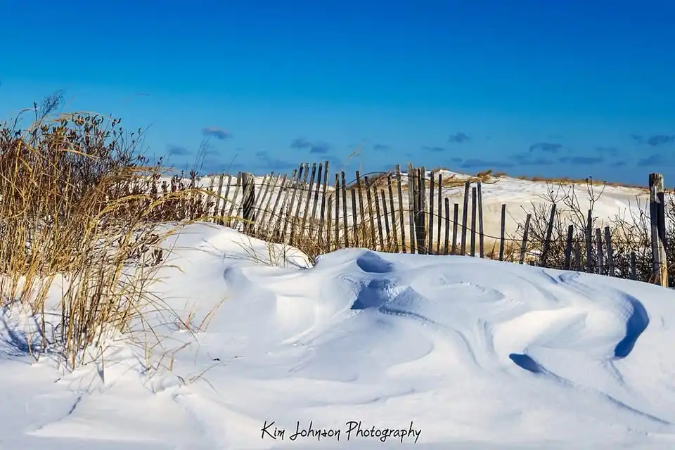 A scenic photograph of a beach dune landscape covered in snow under a clear blue sky, with dry grasses in the foreground and…