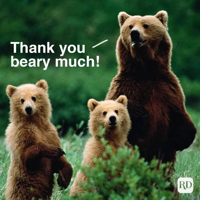 Three brown bears, one large adult and two smaller cubs, stand in a grassy area with green foliage. The adult bear is on the…