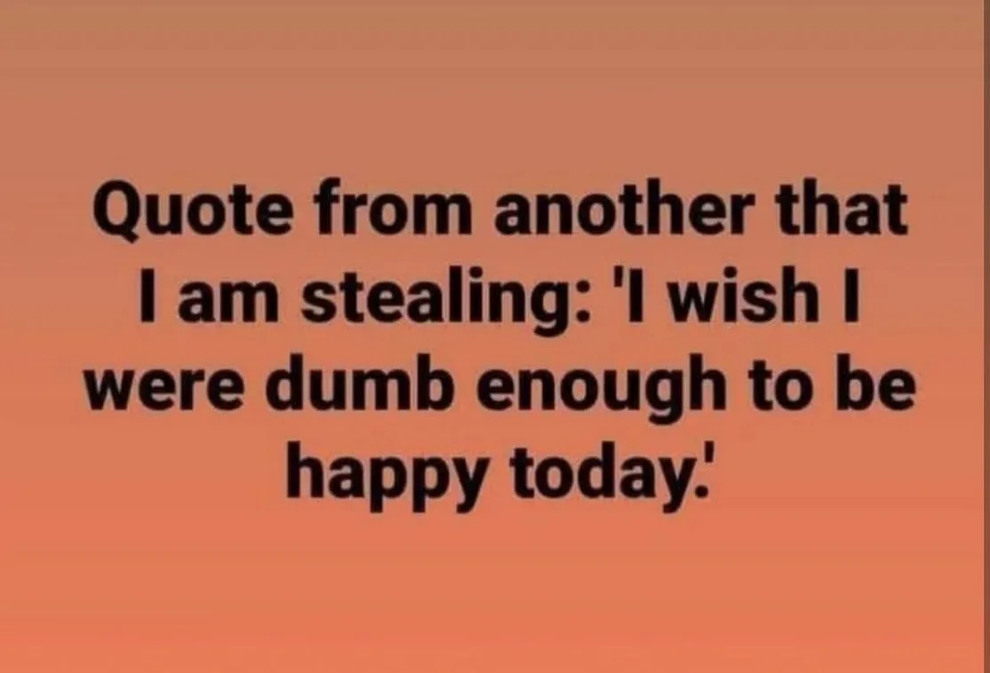 The image displays black text on a solid orange gradient background. The text reads: 'Quote from another that I am stealing…